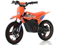 Apollo RFN Warrior Kids SX-E500 – 36V 500W Electric Dirt Bike for Kids (4–8 Years)