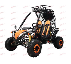 Dongfang DF200GSA-25 200cc Go-Kart – Full Size Automatic Go-Kart with Reverse