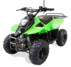 Trailmaster T110 ATV 6'' Youth sports Hunters style