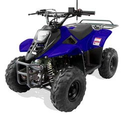 Trailmaster T110 ATV 6'' Youth sports Hunters style