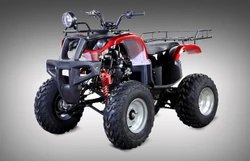 BIG 23" TIRES New 150cc massi -Side View