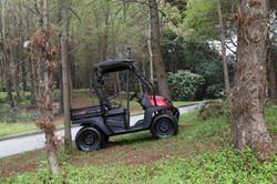 New Linhai Big Horn 200Vx 4 Stroke Overhead Cam, Air/Oil Cooled Engine Side By Side UTV