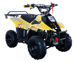 Vitacci HAWK 6 110cc ATV, Single Cylinder, 4 Stroke, Air-Cooled