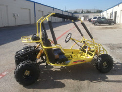GO KART 150S NEW