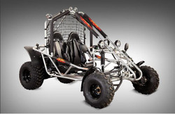 SPIDER GO KART 160