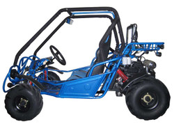 GO KART 250CC 250FS
