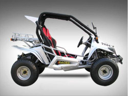 GO KART 250CC GK 7