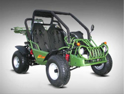 GO KART 250CC GK 8