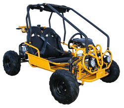 Kandi USA 125cc Kids Go Kart with Automatic Transmission w/Reverse!
