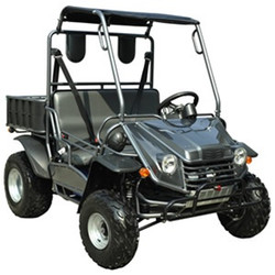 LUXURY UTV  AUTO BORE 200CC