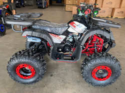 New Mini Desert 125cc Atv, Air Cooling, Single Cylinder, 4 Stroke, Electric Start - Fully Assembled and Tested