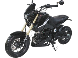 ICE BEAR FUERZA 125CC AIR COOLED, 4 SPEED (PMZ125-1) MOTORCYCLE