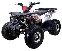 Tao Motor Raptor 10, 120cc Air Cooled, 4-Stroke, 1-Cylinder, Automatic With Reverse -Red