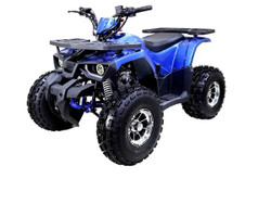 Tao Motor Raptor 10, 120cc Air Cooled, 4-Stroke, 1-Cylinder, Automatic With Reverse -Blue