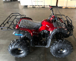 RPS 125CC Raider 8 Kids ATV, Air Cool, Single Cylinder, 4-Stroke