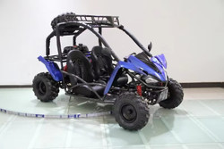 NEW RPS TIKING 125GK-3 (TK125-3) GO KART