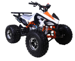 TAOTAO 125CC NEW CHEETAH Mid Size ATV, Automatic with Reverse, Air cooled, 4-Stroke, 1-Cylinder - Fully Assembled and Tested