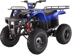 Taotao BULL150 150CC, Air Cooled, 4-Stroke, 1-Cylinder, Automatic - Blue