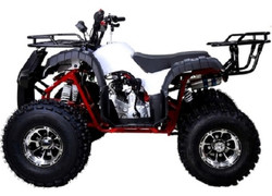 TaoTao 125CC NEW TFORCE Mid Size ATV, Automatic with Reverse, Air Cooled, 4-Stroke, 1-Cylinder - Fully Assembled and Tested