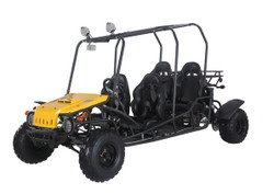 TaoTao 4FUN200 176cc, Air Cooled, 4-Stroke, 1-Cylinder, Fully Automatic with Reverse, Chain Drive