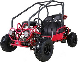 Taotao GK110 110CC Youth Go Kart, Air Cooled, 4-Stroke, 1-Cylinder, Automatic with Reverse -  Fully Assembled And Tested - Pink