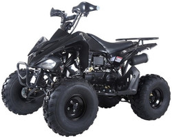 Taotao Motor 150G, 150CC, Air Cooled, 4-Stroke, 1-Cylinder, Automatic ATV -Black