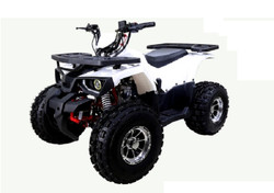 TaoTao Raptor 125cc,Air cooled, 4-stroke, 1-cylinder,automatic with reverse -White