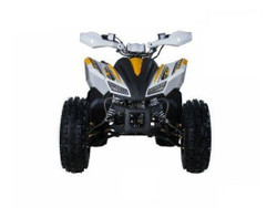 TAOTAO REX 120CC Electric Start ATV, Air Cooled, 4-Stroke, 1-Cylinder, Automatic With Reverse, Fully Assembled and Tested -Front View