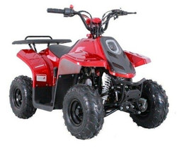 Taotao Rock 110 ATV