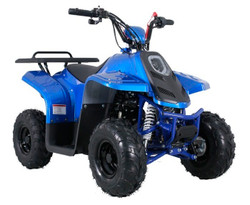 Taotao Rock 110 ATV