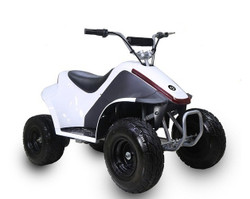 TaoTao ROVER500 500 Watt ATV, Brush Electric Motor Assembled and Tested -White
