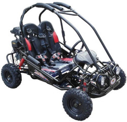 Trail Master Gokart Type MINI XRX-R (California Legal) Black