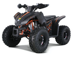 Rival Motor TRAILHAWK 10, ATV, 154FMI Automatic, Electric start