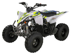 New Vitacci Pentora 125Cc ATV, Air Cooler, 4 Strokes, Automatic With Reverse