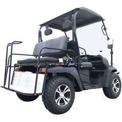 New Trailmaster Taurus 200GV UTV