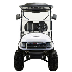 MASSIMO MGC2 48V GOLF CART UTV, 48V AC MOTOR