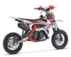 TRAILMASTER TM10 110CC DIRT BIKE, AUTOMATIC 4-STROKE Rear side view