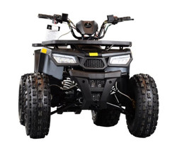 Tao Motor Mudhawk 10 ATV, 4-stroke Electric Start Only