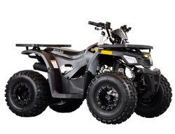 Tao Motor Mudhawk 10 ATV, 4-stroke Electric Start Only