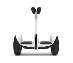 Segway Ninebot S