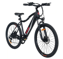 Gotrax Emerge Electric Bike