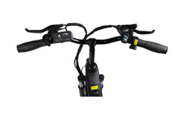 Gotrax Endura Electric Bike
