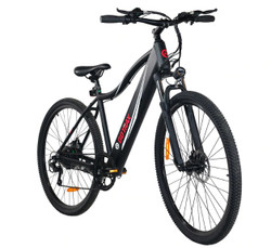 Gotrax Alpha XL Electric Bike