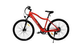 Gotrax Alpha XL Electric Bike