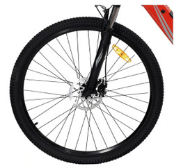 Gotrax Alpha XL Electric Bike