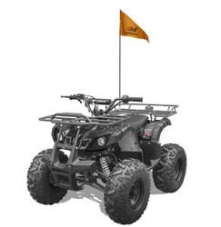 Trailmaster T125U Rancher style, ATV 125cc 8" rims 19 inch Tires . Automatoc with Reverse
