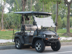Trailmaster Taurus 50EV UTV, 60V BLDC Brushless DC Motor, Steering Wheel