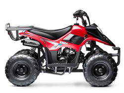 Made in Vietnam Goldenwing New Rex ATV, 110cc Air Cooled, 4-Stroke, 1-Cylinder, Automatic