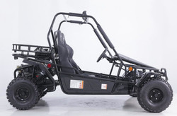 New Taotao BAJA SPORT 200 ATV 169cc, Electric Start, Powerplant With a CVT Automatic