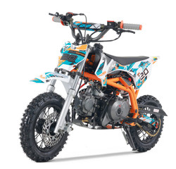 TaoTao New DB20 110cc Kids Dirt Bike, Air cooled, 4-Stroke, Single-Cylinder, Automatic